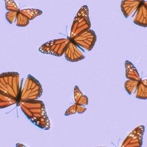 Meet your Posher, Rhys